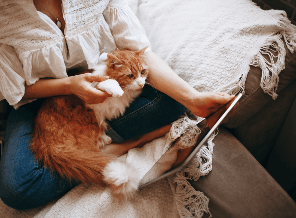 Getting divorced in Virginia without leaving your home just got easier. Overhead picture of a cat on someone's lap and a tablet in ther person's hand
